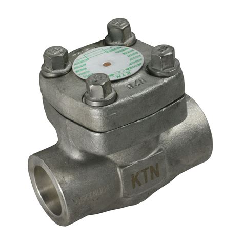 Weld Check Valve 541 KTN Swing Stainless Steel