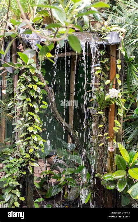 waterfall in tropical garden with green leaves and plants Stock Photo ...