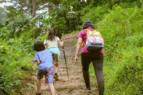 Wisata Treking Alam Di Sentul Rekomendasi Liburan Hanya Langkah Dari