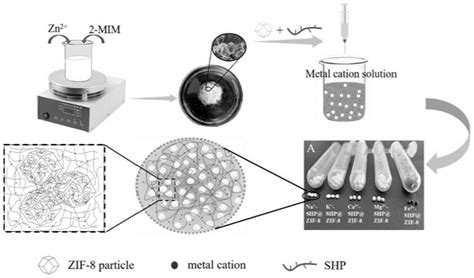 一种zif 8多孔凝胶微球的制备方法及应用与流程