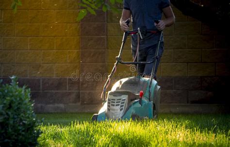 Cortador De Grama Que Corta A Grama Verde No Quintal Foto De Stock