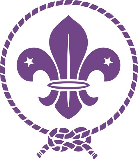 a purple and white fleur de lis emblem with braiding around the edges