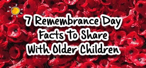 7 Remembrance Day Facts To Share With Older Children - Picniq Blog