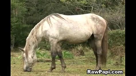 Hot Latino Gay Bareback Scene Hardcore Xxx Mobile Porno Videos Movies IPornTV Net