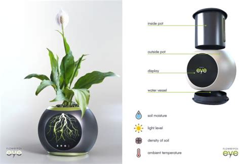 Eye Flowerpot lets you see the development of plant under the soil - Designbuzz