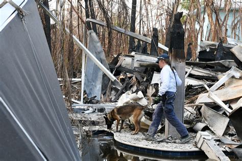 Dvids Images Fema Urban Search And Rescue Teams Search Areas