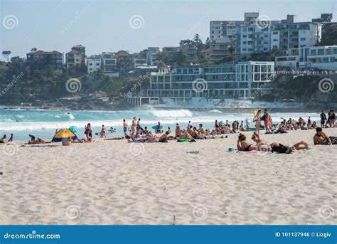 Escena De La Playa De Bondi Foto Editorial Imagen De Extremo