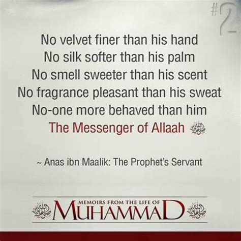 Prophet Muhammad Saw Quotes And Sayings In English Prophet