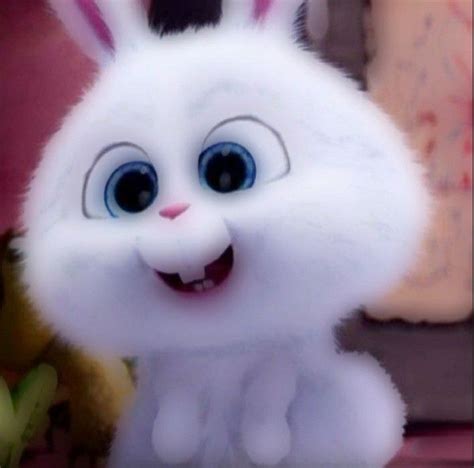 Snowball rabbit