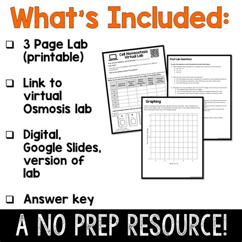 Cell Homeostasis Osmosis Virtual Lab ⋆ The Trendy Science Teacher