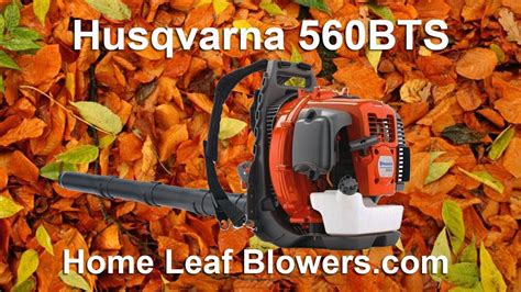 Review Husqvarna 560bts Backpack Leaf Blower Youtube