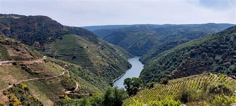 Excursi N Ribeira Sacra Con Crucero Desde Santiago Yoorney By