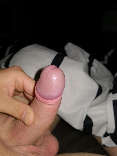 Schwanz 1 Nude Pics XHamster