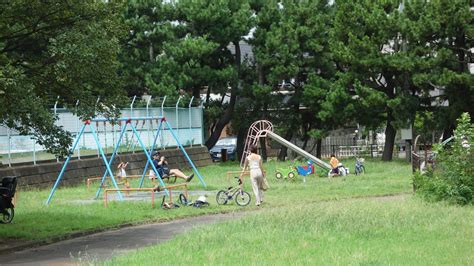 湘南海岸公園 観光スポット 湘南ひらつかナビ平塚市観光協会 平塚観光情報サイト