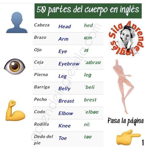 Partes Del Cuerpo En Ingles Escritura Y Pronunciacion Images