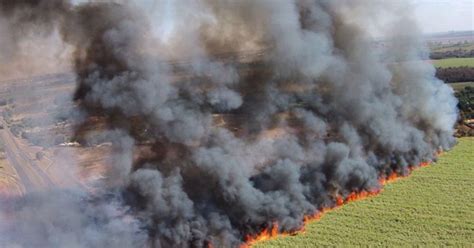 G1 Canavial em chamas forma cortina de fumaça em rodovia no interior