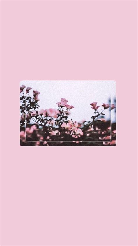 Vintage Pink Aesthetic Wallpapers - Top Free Vintage Pink Aesthetic Backgrounds - WallpaperAccess