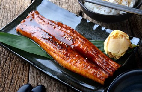 Best Unagi Sushi Stock Photos, Pictures & Royalty-Free Images - iStock