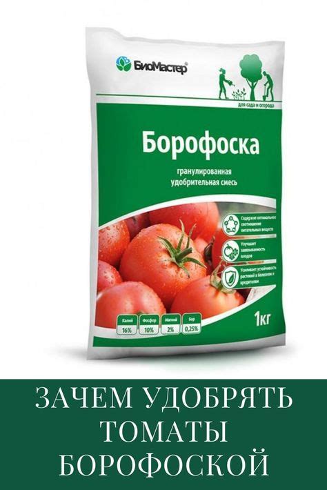 Борофоска для томатов - применение, как развести для подкормки, при ...