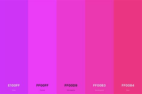 25 best magenta color palettes with names and hex codes – Artofit