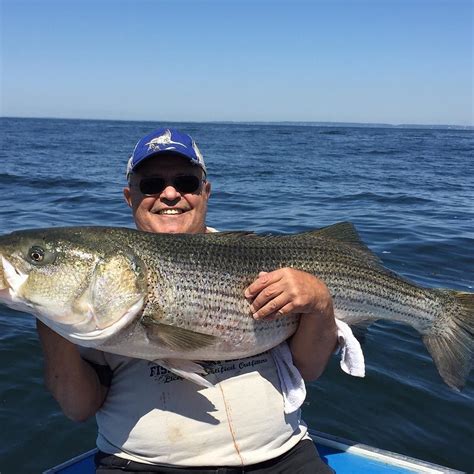 Pin on Sheepshead Bay Fishing