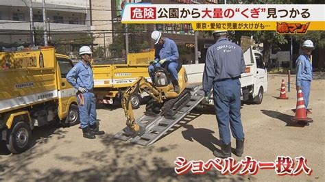 危険！園児も利用する公園に「大量のくぎ」大規模調査で金属棒やペグも見つかる ほかの公園は大丈夫？記者が調べると「頭が地面から出ているくぎ