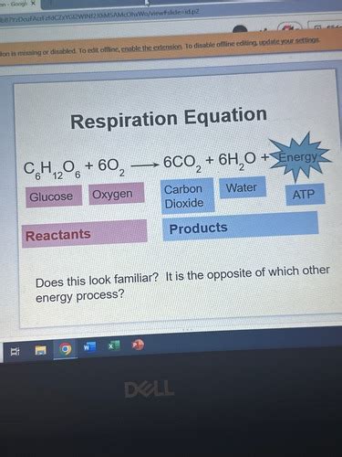 Cellular Respiration Flashcards Quizlet