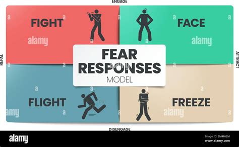 Fear Responses Modell Infografik Pr Sentationsvorlage Mit Symbolen Ist