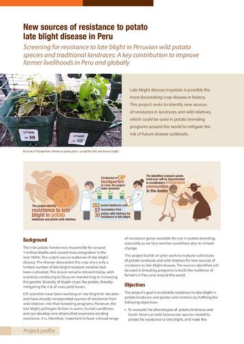 New Sources Of Resistance To Potato Late Blight Disease In Peru