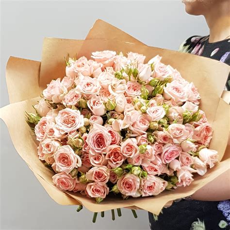 Розовое чудо - miflora