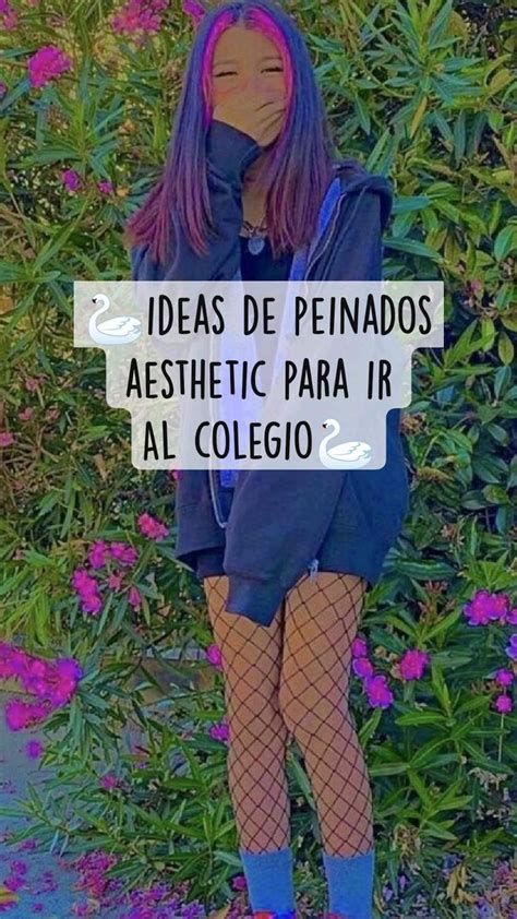 Ideas De Peinados Aesthetic Para Ir Al Colegio Peinados Para Poco