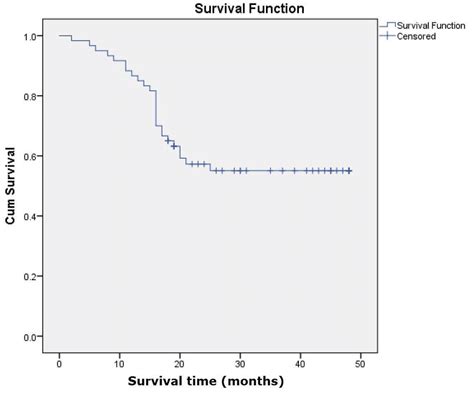 Mir 217 And Prognosis Of Osteosarcoma Patients Download Scientific Diagram