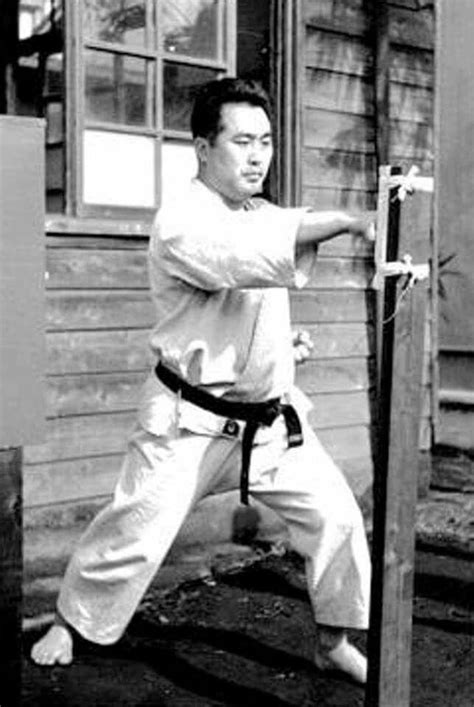 Shotokan Karate Martial Arts