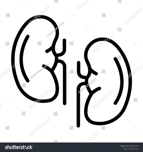 Simple Kidneys Line Icon Symbol Sign Stock Vector (Royalty Free