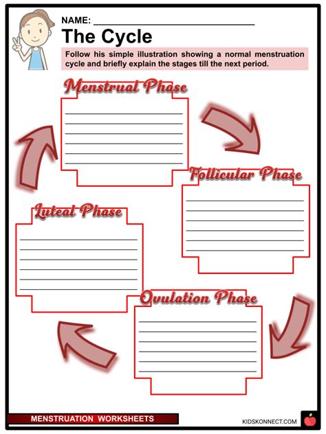 Menstruation Worksheets Facts Explanation Process Hygeine