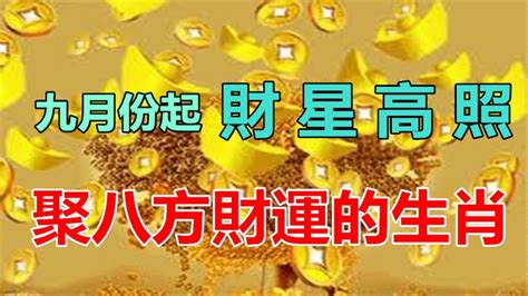 9月份起，財星高照，聚八方財運的四大生肖！ Peekme