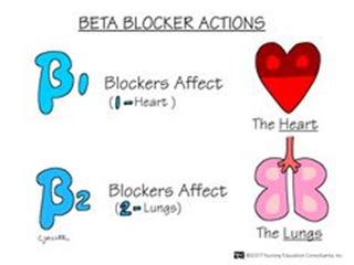 Ch 15 Adrenergic Agonists And Antagonists Pharmacology A Patient