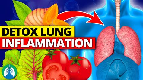 What Foods Help Lung Inflammation: A Guide To Lung-Boosting Nutrition