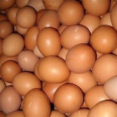 Buy Wholesale Thailand Organic Fresh Chicken Table Eggs Fertilized