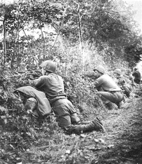 Hedgerow Fighting In Normandy Military History Pinterest