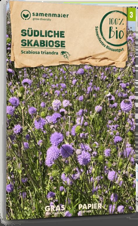 Samen Maier Fleur Sauvage Scabiosa Bio 1 Sachet Bloomling Belgique