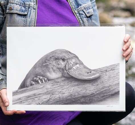 Platypus Art Print – A3 | The Changesmiths