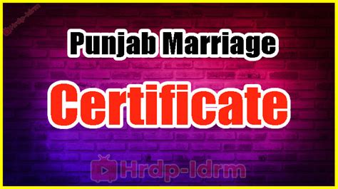 Punjab Marriage Certificate 2024 Registration Status And Download