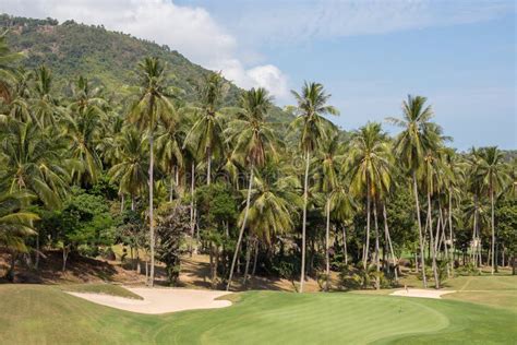 Beautiful Golf Course And Palm Tree Island Koh Samui Thailand Stock