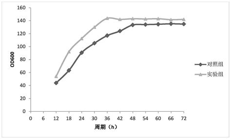 一株碱性蛋白酶高产菌株及其发酵工艺