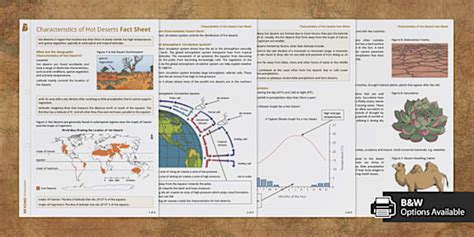 AQA Characteristics Of Hot Deserts Fact Sheet Twinkl