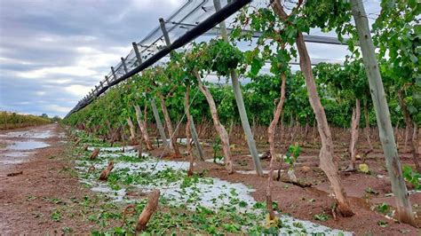 El Gobierno Anunci M S Medidas Para Ayudar A Los Productores Afectados