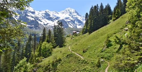 Wanderung Hinteres Lauterbrunnental Gimmelwald Obersteinberg