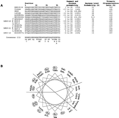 Alignment And Structure Analysis Of The Conserved C Terminal Region