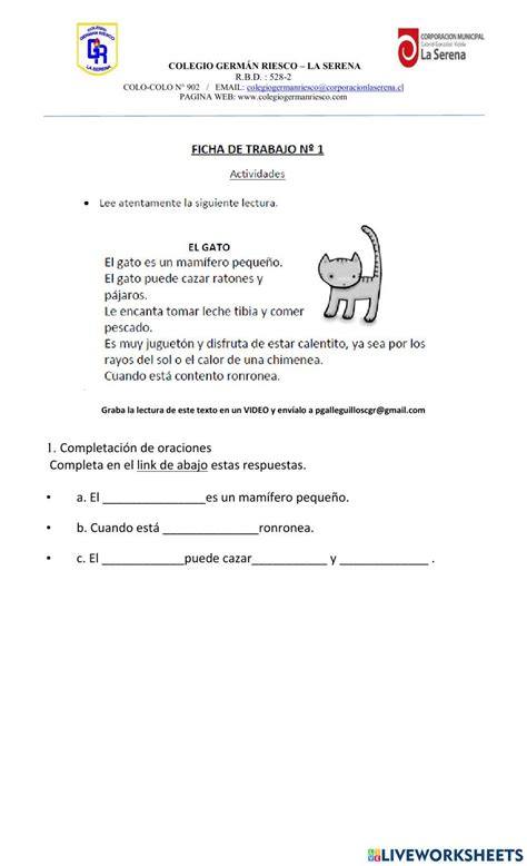 Ficha 1 Online Worksheet For Segundo Basico Live Worksheets